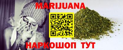 индика Дубна