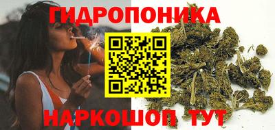 индика Дубна