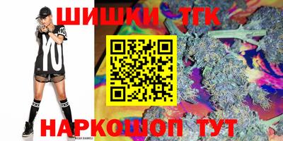 индика Дубна