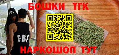 индика Дубна