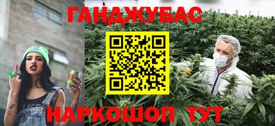 индика Дубна