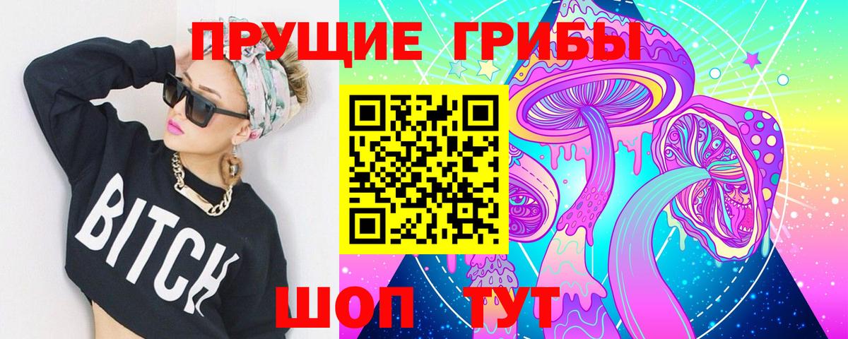 Псилоцибиновые грибы Psilocybe Лянтор